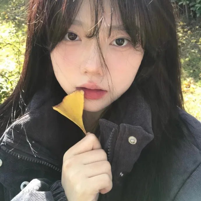 恋爱之歌