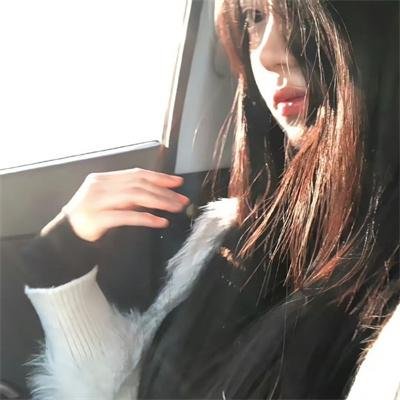 花与爱丽丝