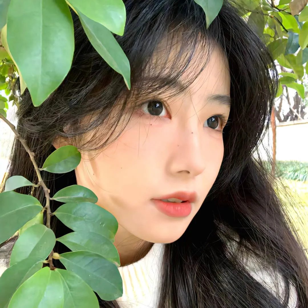 大周小冰人第二季